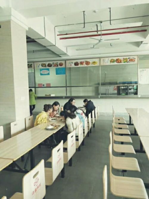 包食宿招移動(dòng)客服 信息技術(shù)咨詢(xún)服務(wù)，打造專(zhuān)業(yè)團(tuán)隊(duì)共促發(fā)展