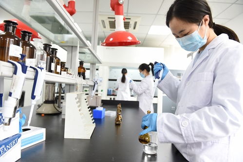 科技管家服務(wù)能手 資陽生產(chǎn)力促進(jìn)中心如何以信息技術(shù)咨詢助力政企發(fā)展